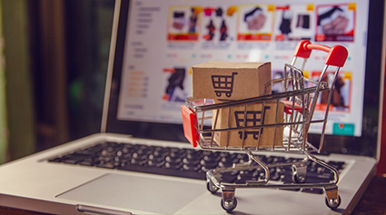 Ecommerce SEO